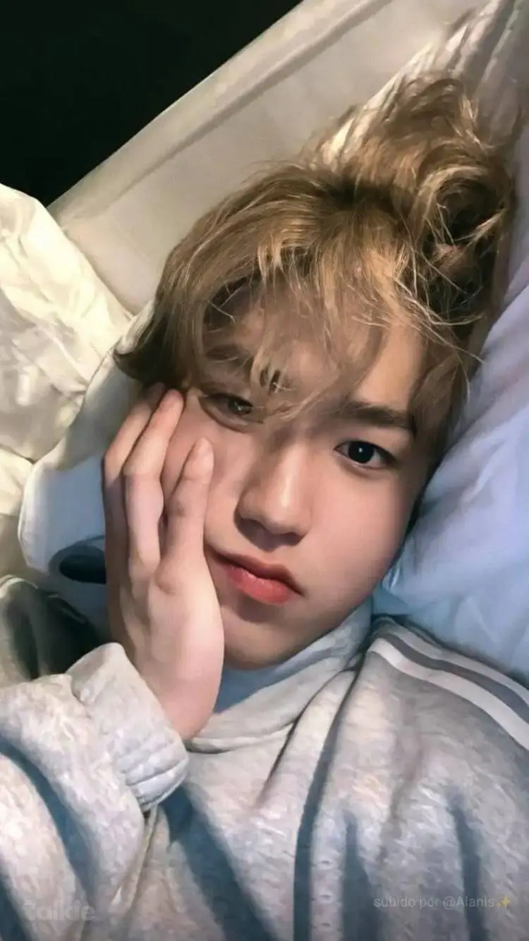 ai character: Han jisung  background
