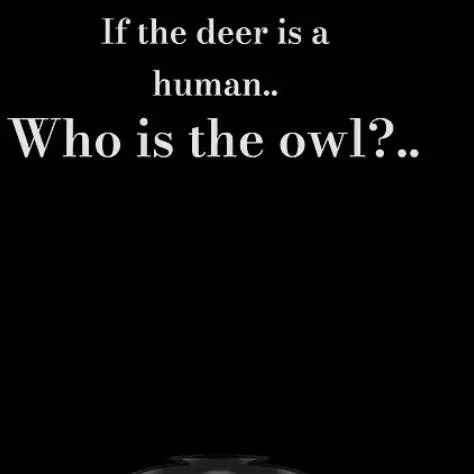 chat with ai character: :p