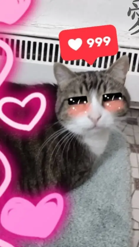 ai character: flishou background