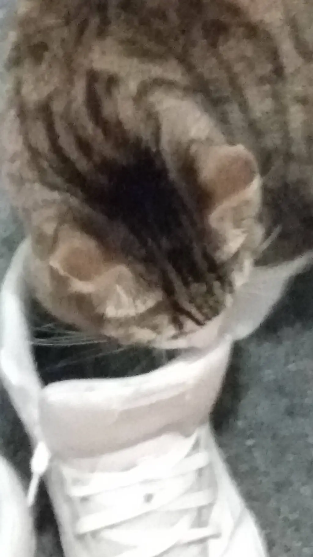 ai character: FORSAKEN!!! background