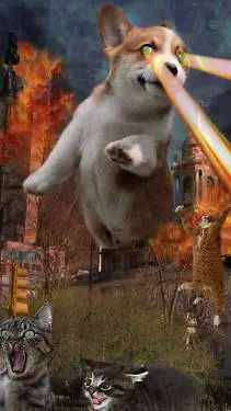 ai character: CORGI APOCALYPSE background