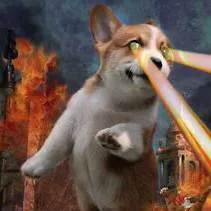chat with ai character: CORGI APOCALYPSE