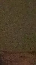 ai character: han background