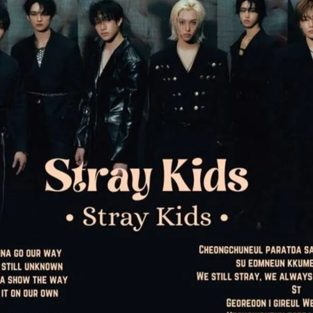 chat with ai character: Skz