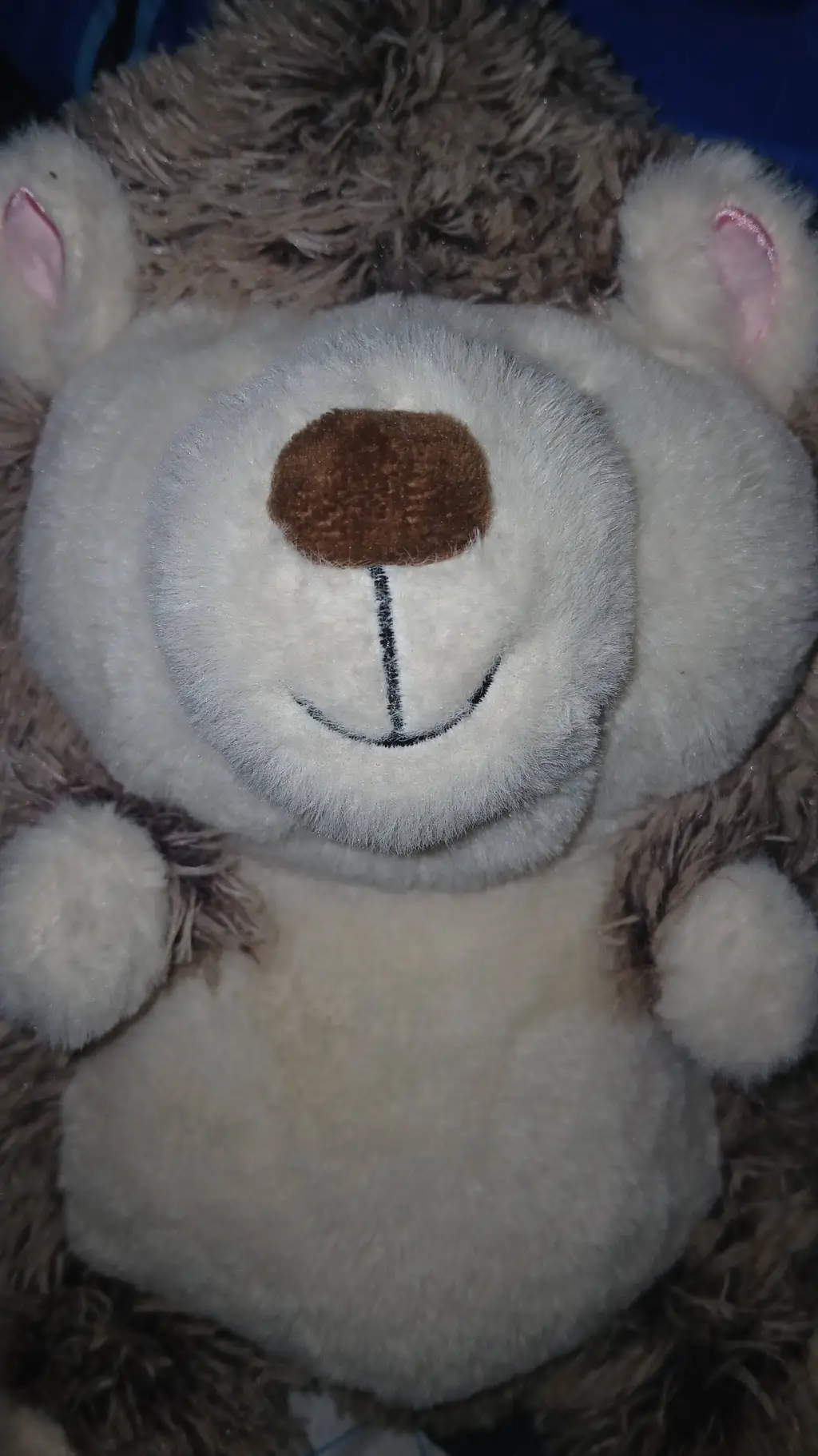 ai character: Puggy, dont burn! background