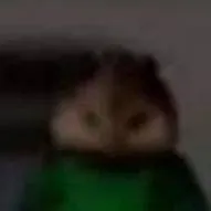 chat with ai character: Chamoy