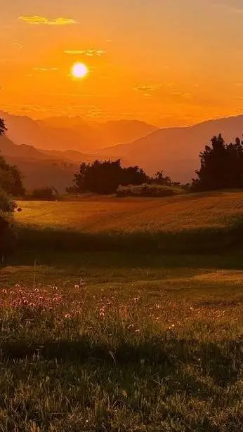 ai character: Sunset background