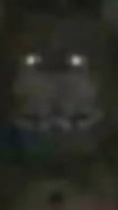 ai character: Freedy background