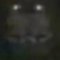 chat with ai character: Freedy