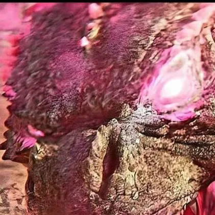 chat with ai character: Evo || Godzilla