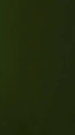 ai character: c00lkid background