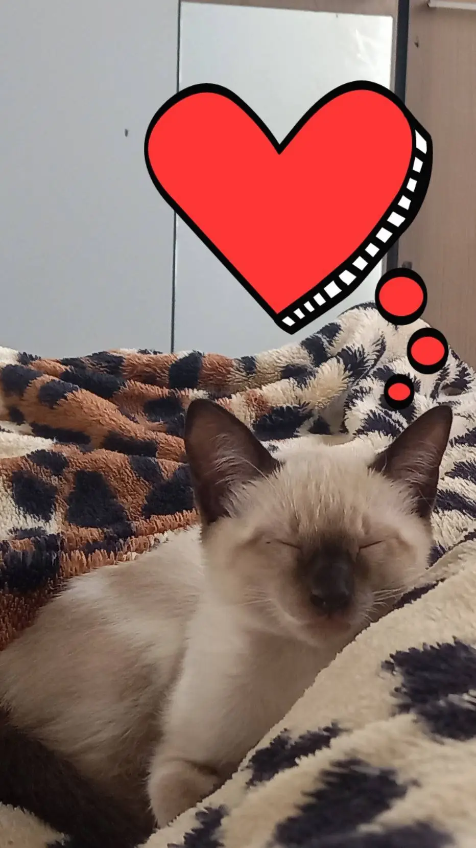 ai character: 🐈Tico background