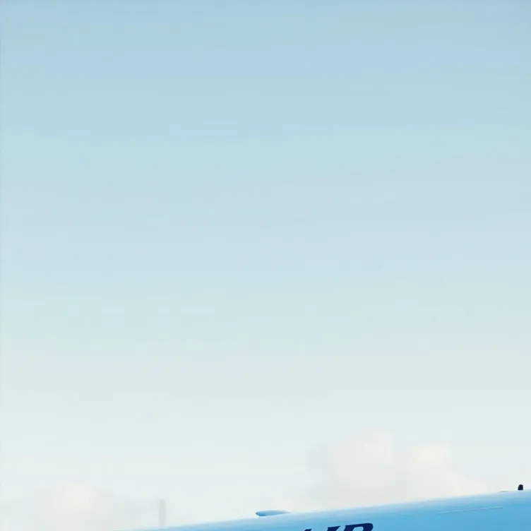 chat with ai character: Flight attendant 