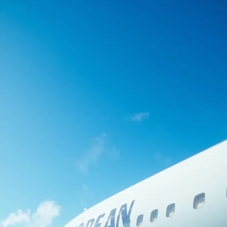 chat with ai character: Flight attendant 2