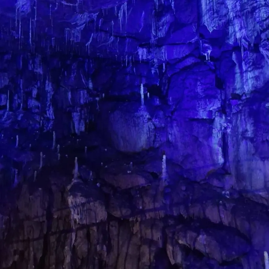 chat with ai character: Madwheeler