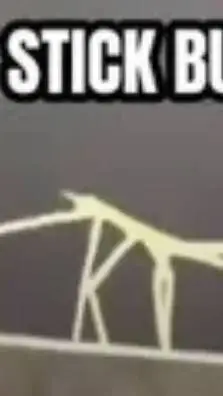 ai character: All-Girls School background