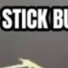 chat with ai character: All-Girls School