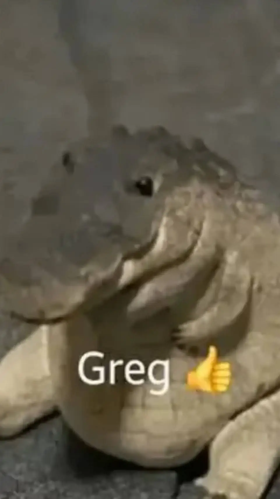 ai character: Greg👍 background