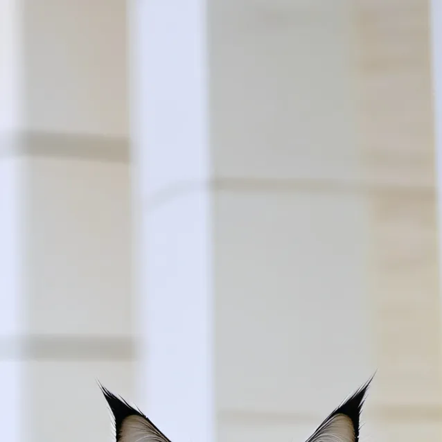 chat with ai character: gato raro