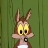 chat with ai character: bebé coyote