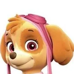 chat with ai character: skye past 