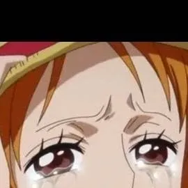 chat with ai character: someone made Nami 
