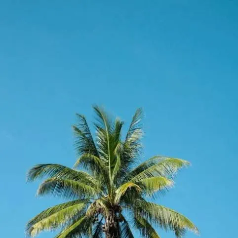 chat with ai character: 😒JJK days...☺️