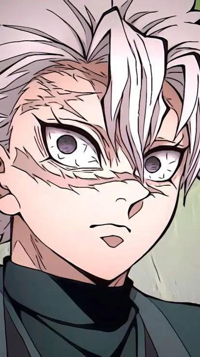 ai character: Y/N×Sanemi background