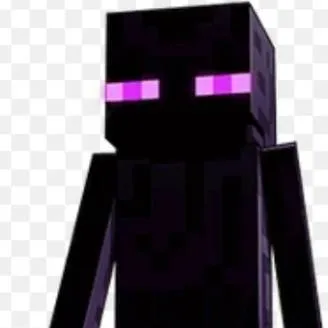 chat with ai character: Mr. Enderman