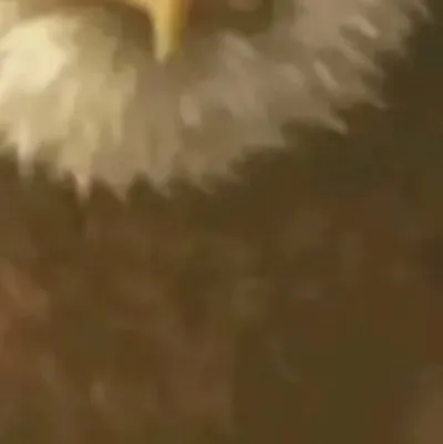 chat with ai character: Jakey