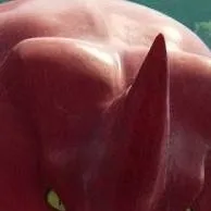 chat with ai character: Red