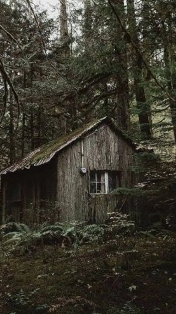 ai character: bosco abbandonato background