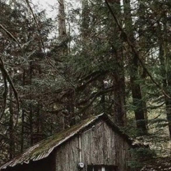 chat with ai character: bosco abbandonato