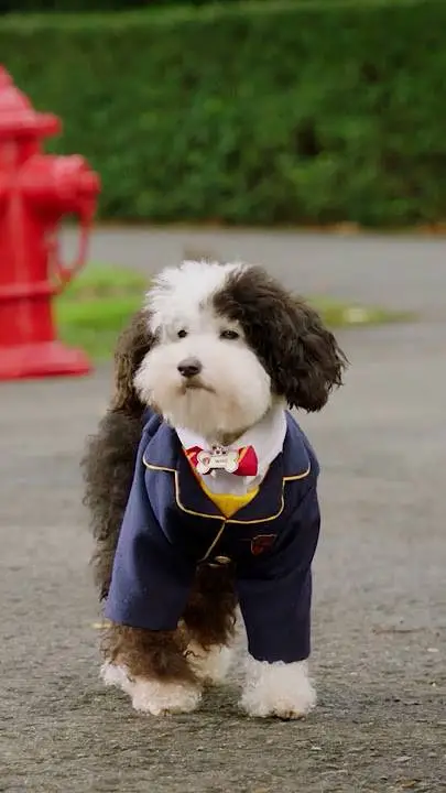 ai character: whiz background