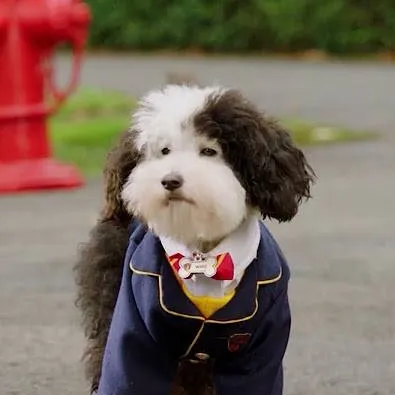 chat with ai character: whiz