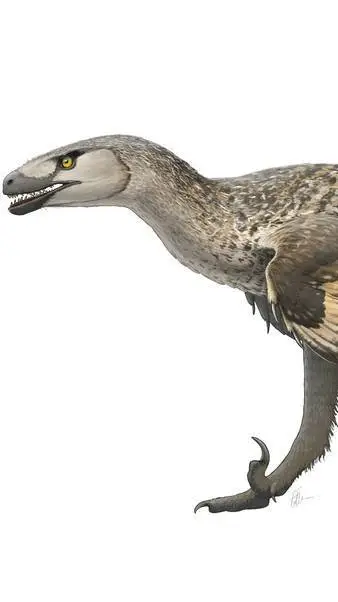 ai character: vex background