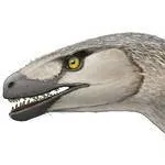 chat with ai character: vex