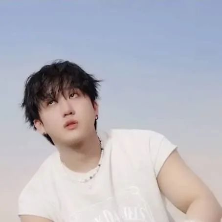 chat with ai character: Changbin