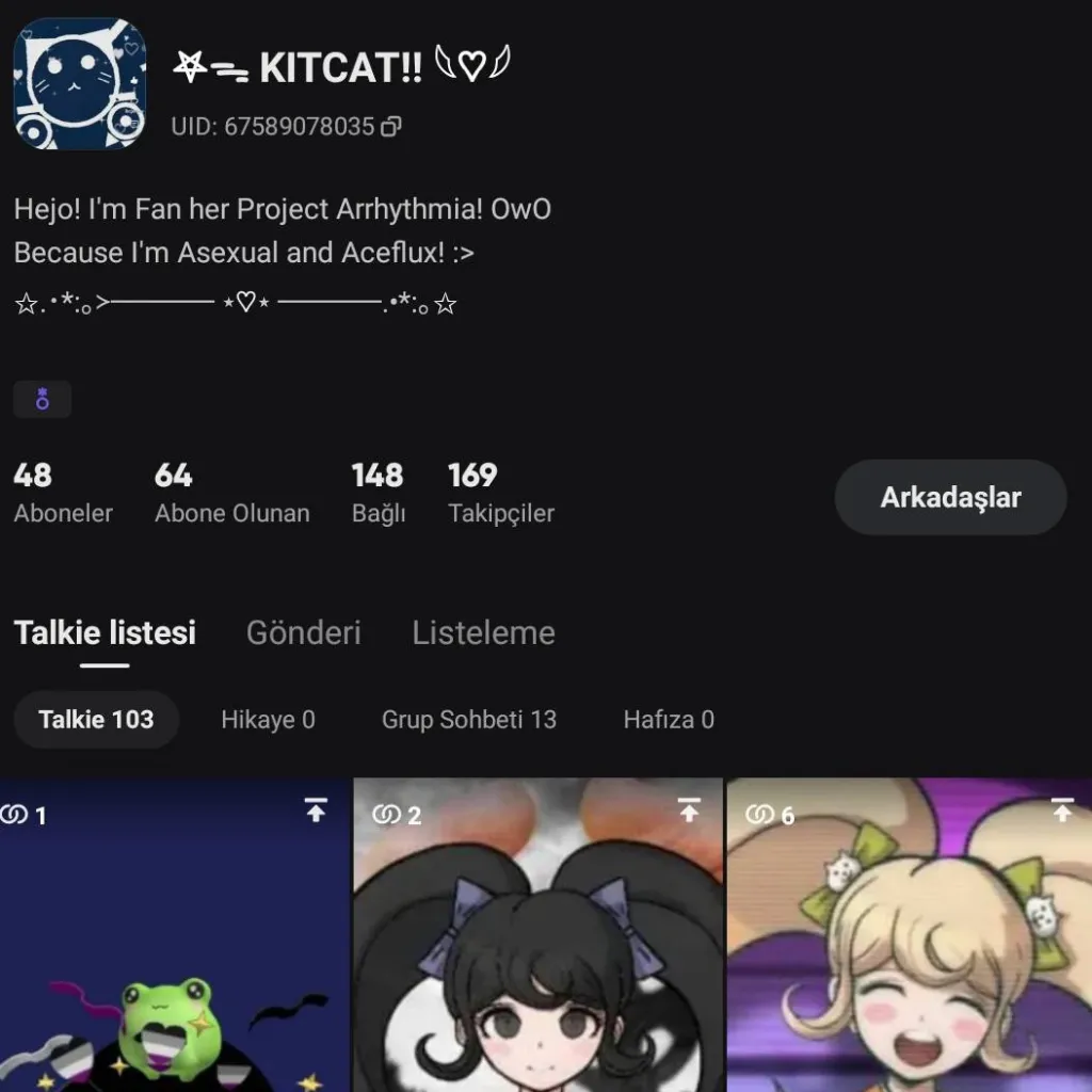 chat with ai character: 𖤐⭒๋࣭ ⭑KITCAT!! 𓆩♡𓆪