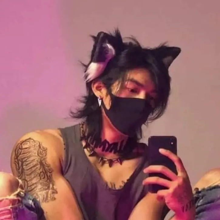 chat with ai character: hoshi cat