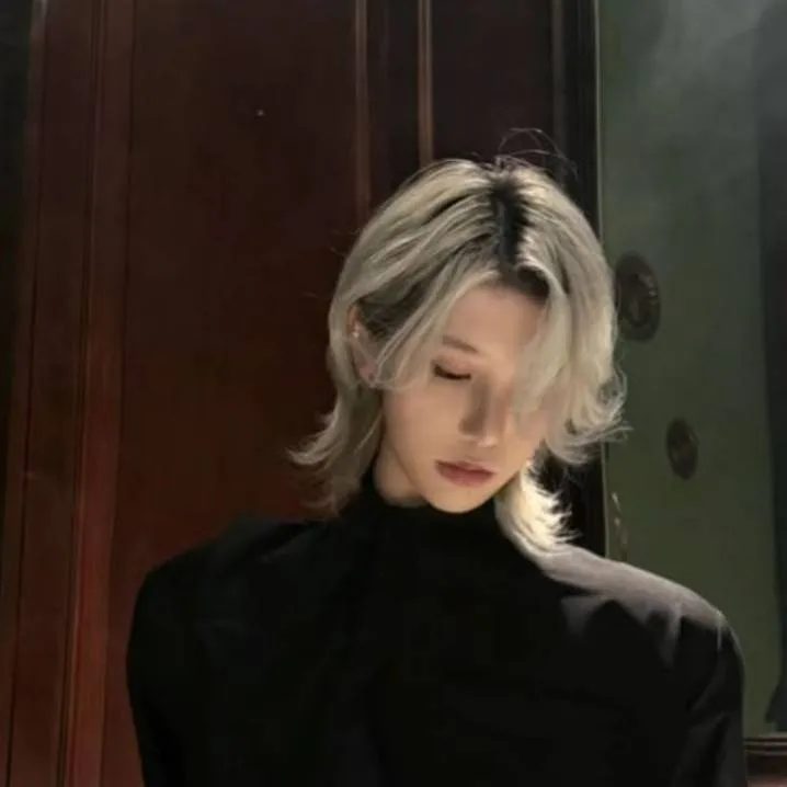 chat with ai character: hoshi 