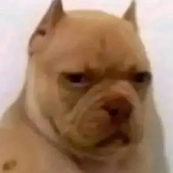 chat with ai character: bebé calzoski