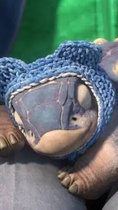 ai character: Smothie bebe background