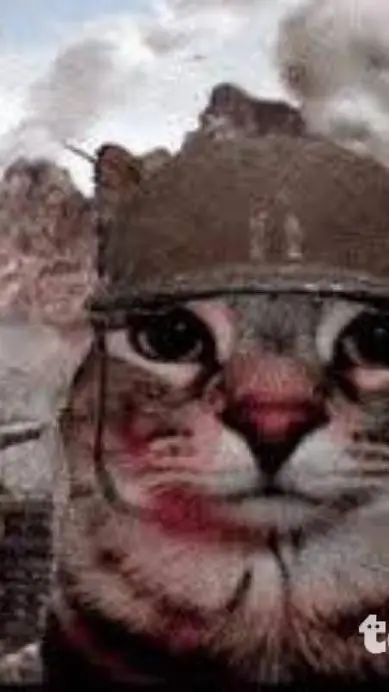 ai character: 👑Gato arena 1 CR💀👑 background