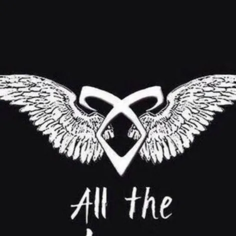 chat with ai character: shadowhunters 🩶