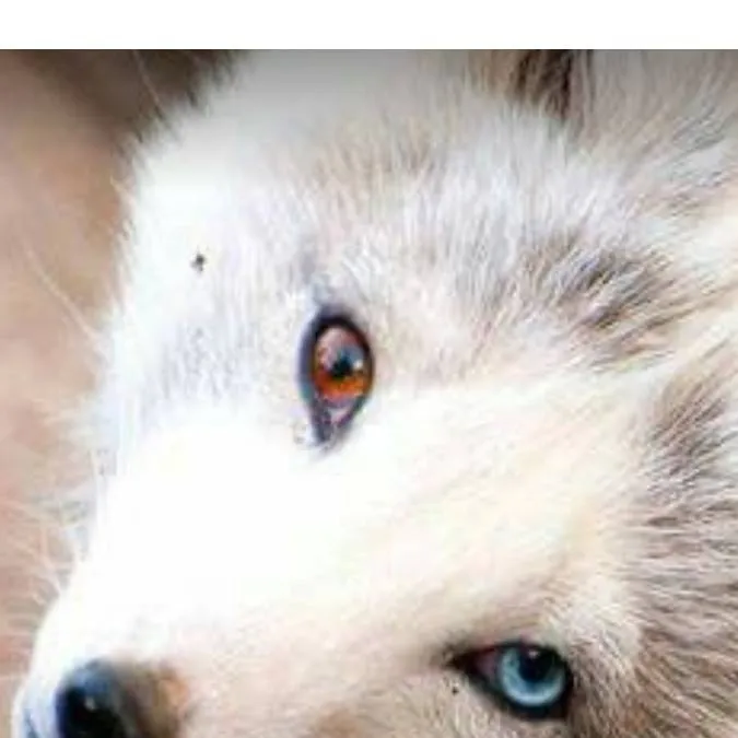 chat with ai character: ~`|•Angel•|`~