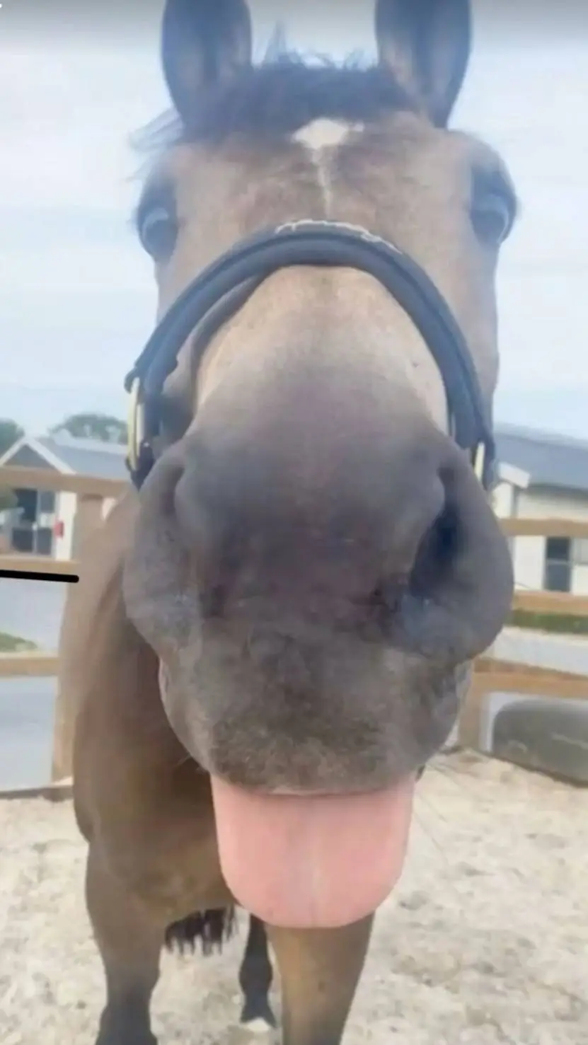 ai character: ~`|•Leo•|`~ background