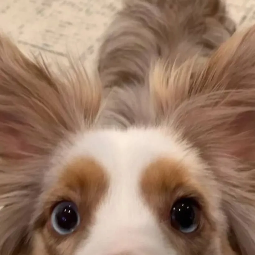 chat with ai character: ~`|•Sammy•|`~