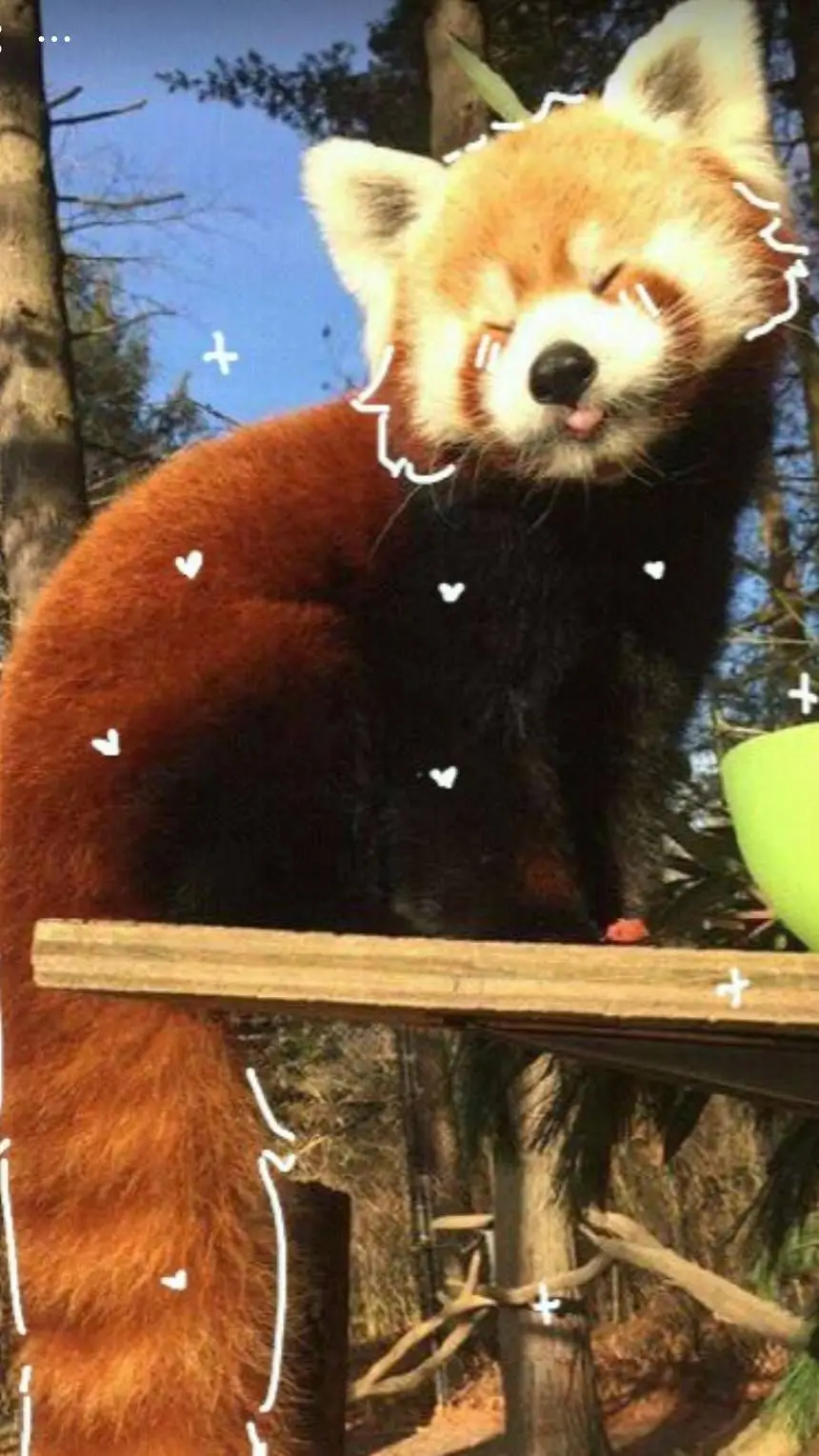 ai character: ~`|•Zoey•|`~ background