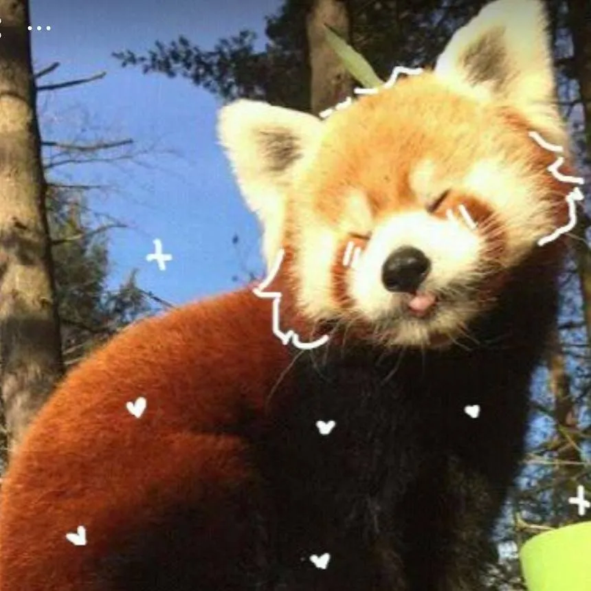 chat with ai character: ~`|•Zoey•|`~